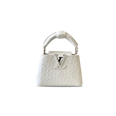 LOUIS VUITTON CAPUCINES BAG N83924 (16.3*11*6.5cm)